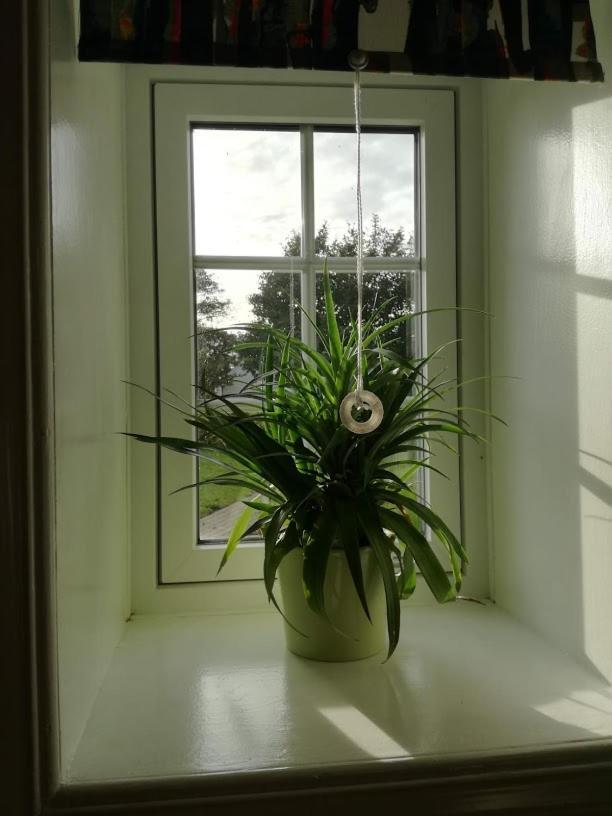 Rosengaard Holiday Apartment And B&B Bramming المظهر الخارجي الصورة
